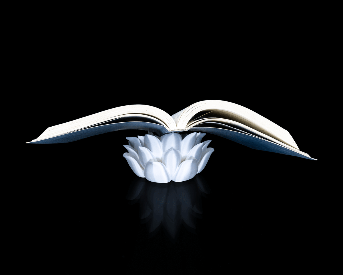 3069 - Root of Awakening - Book Stand