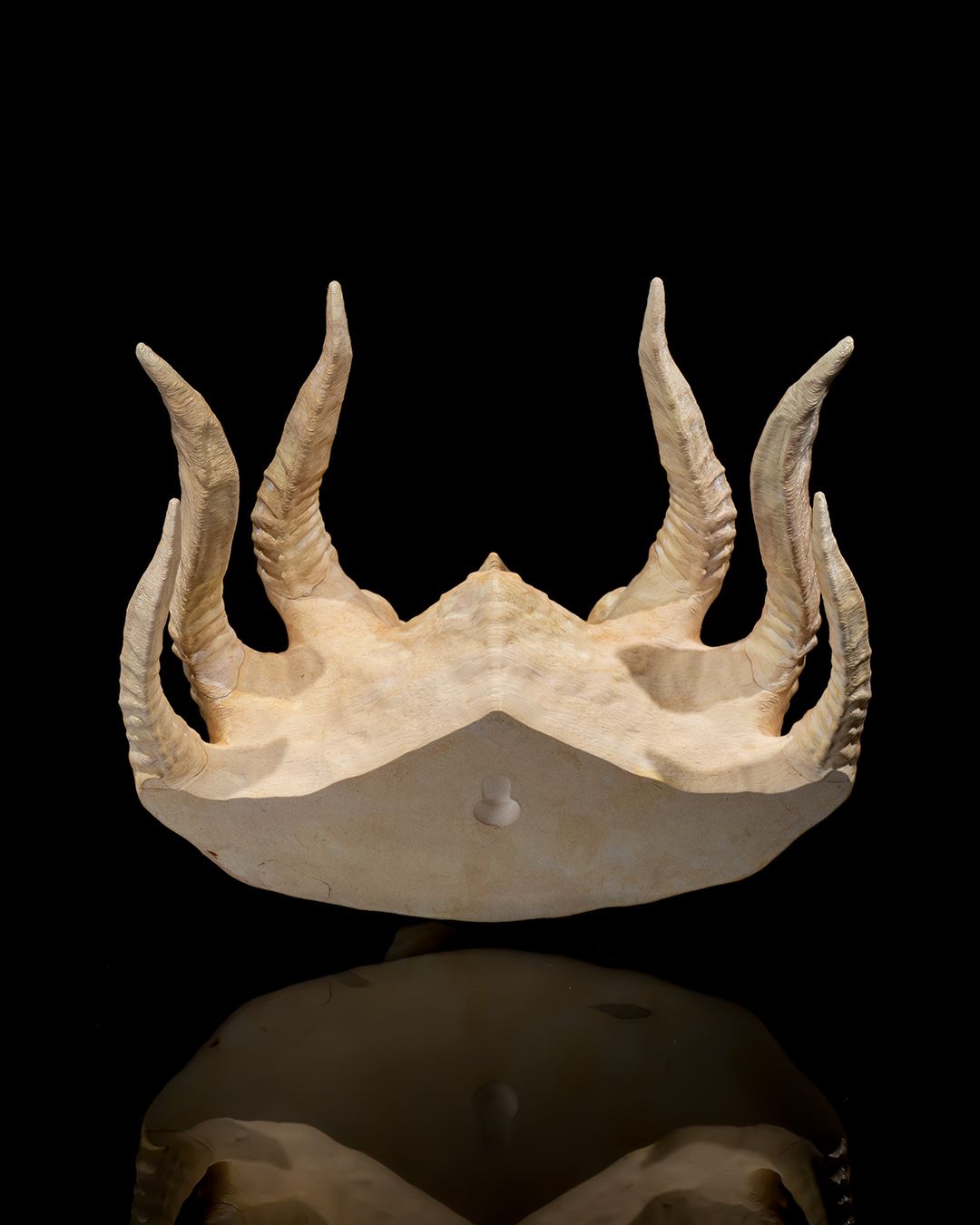 1594 - Silver Dragon Skull