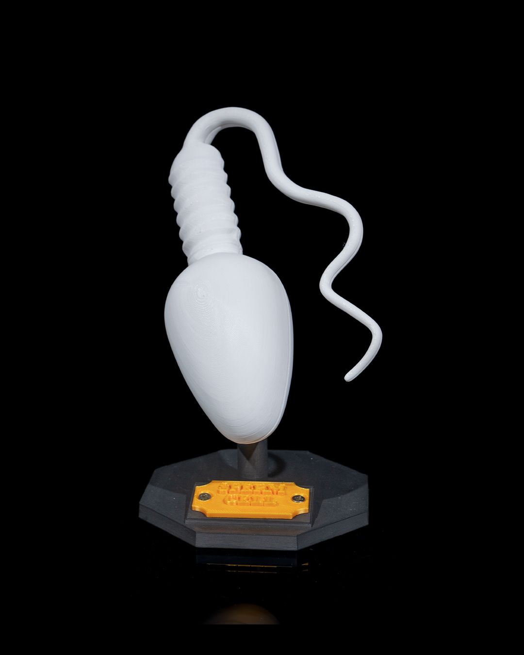 1526 - Sperm Cell