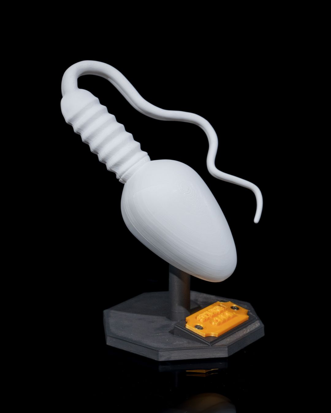 1526 - Sperm Cell
