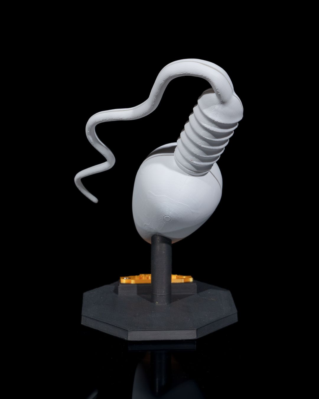 1526 - Sperm Cell