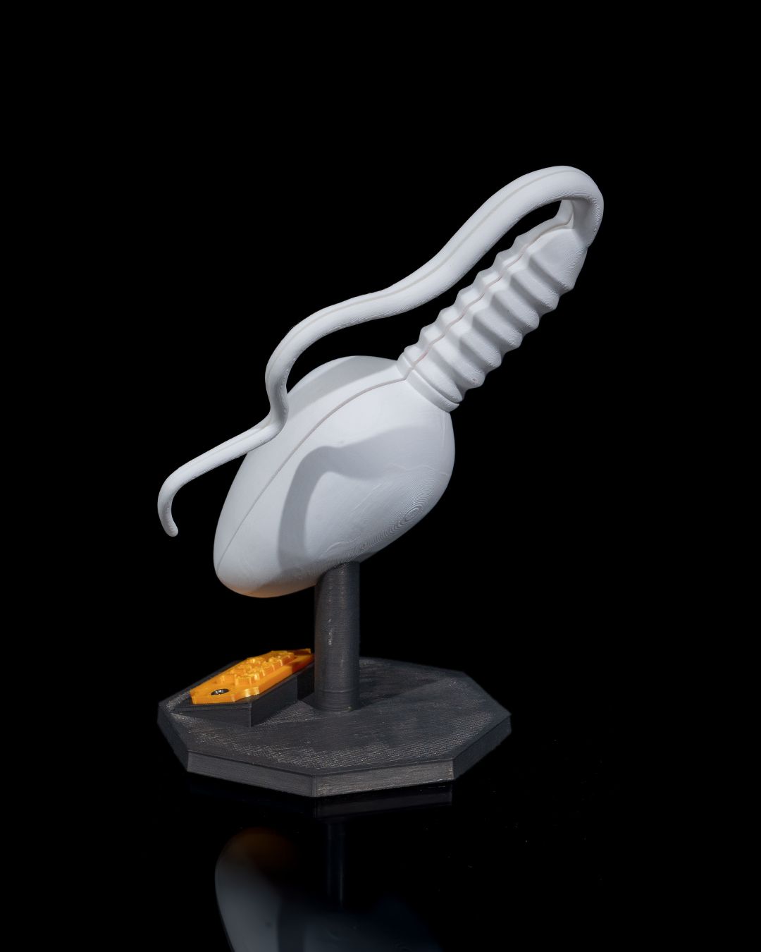 1526 - Sperm Cell