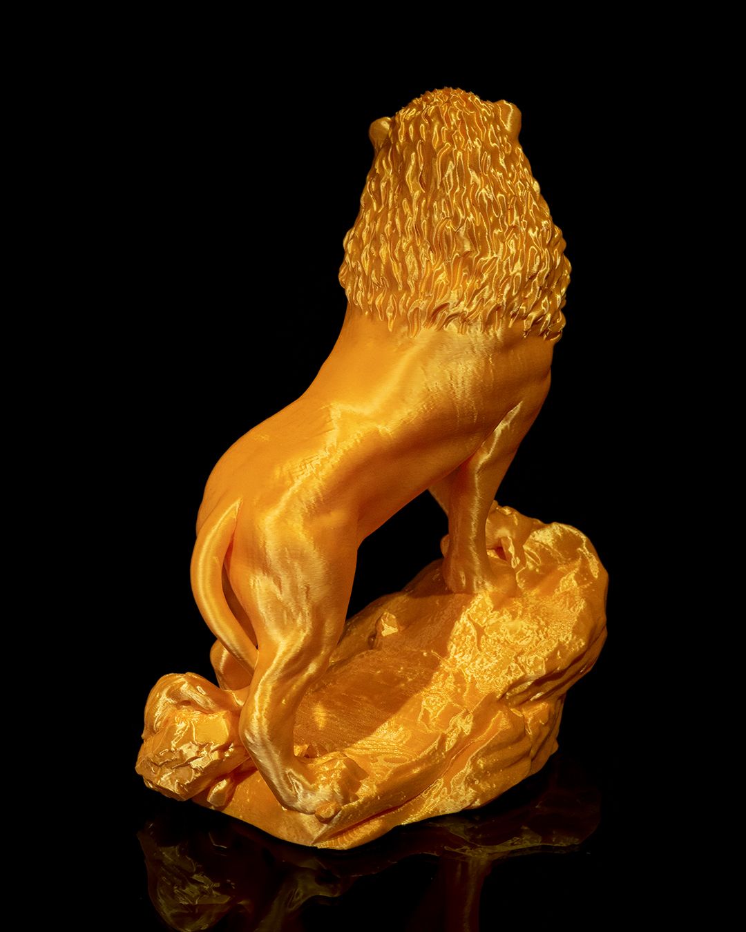 1340 - The Asiatic Lion