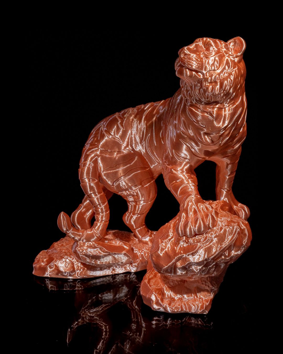1343 - The Bengal Tiger