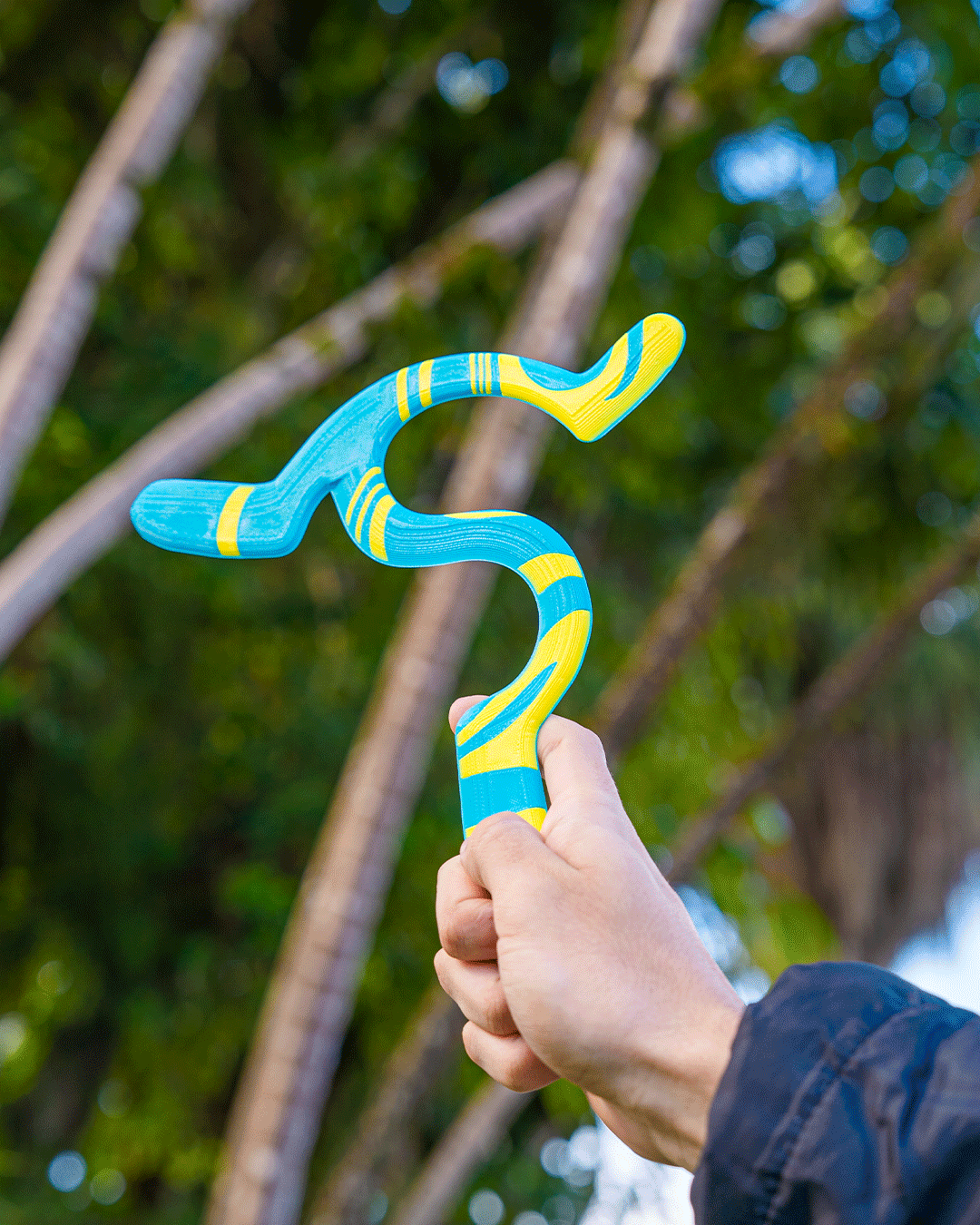 4225 - Twisty Boomerang