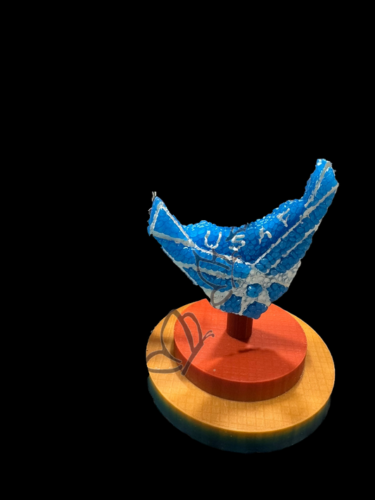 Freshie - Military - U.S. Air Force