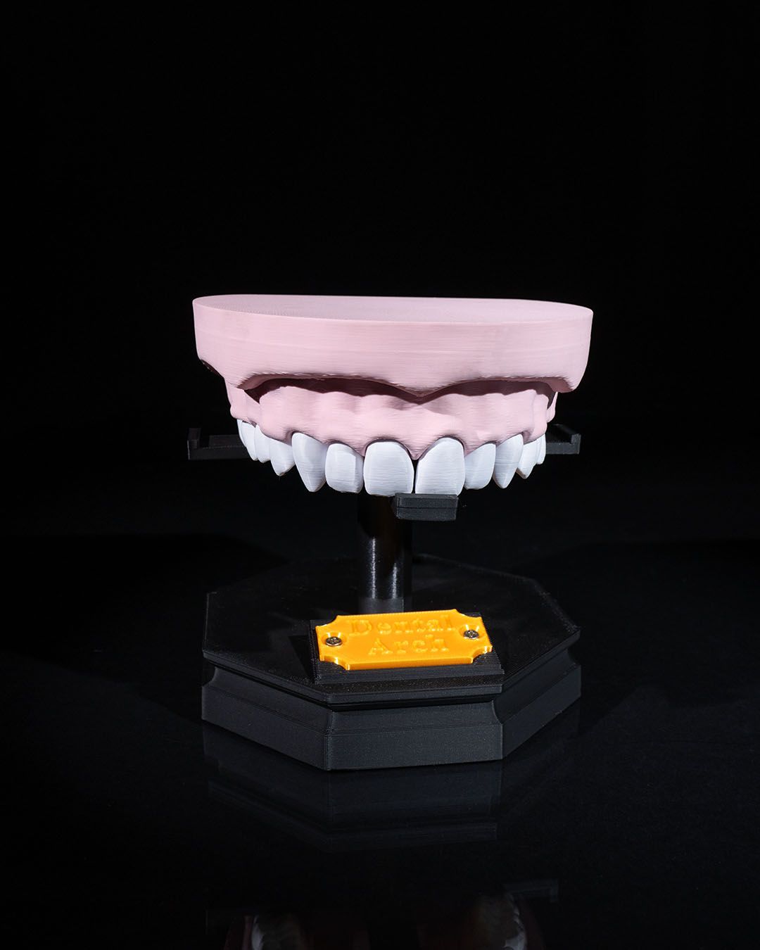 1266 - Upper and Lower Dental Arch