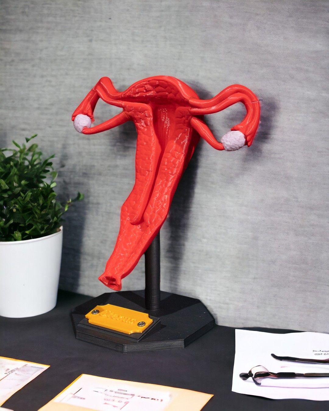 1529 - Uterus