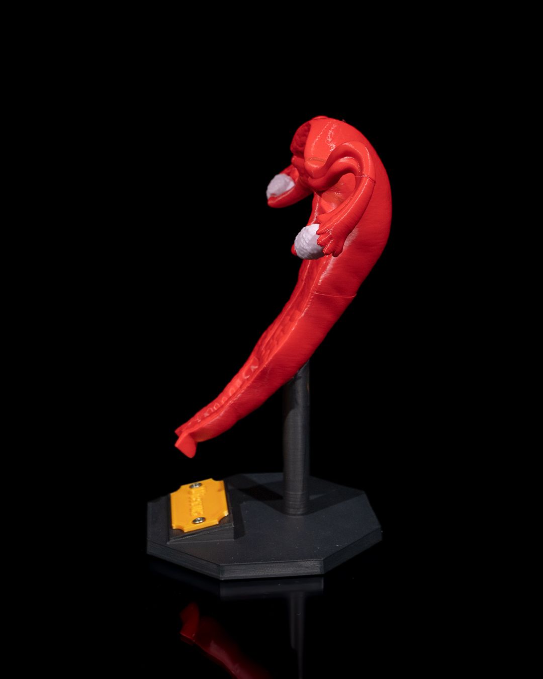 1529 - Uterus
