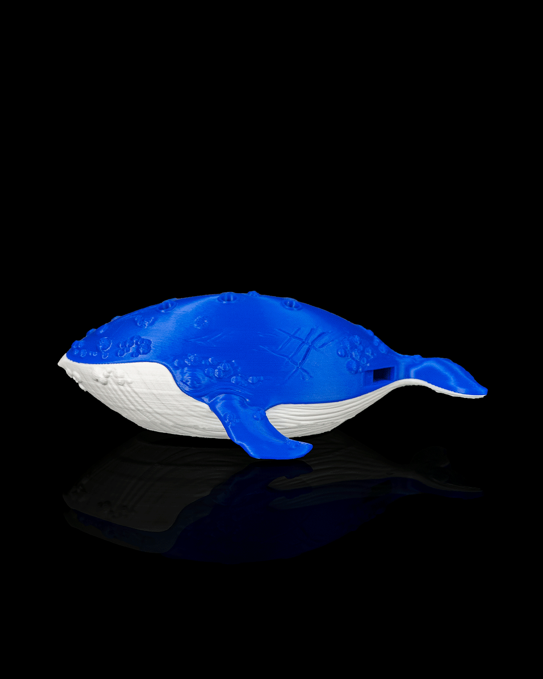 4296 - Whale Ocarina