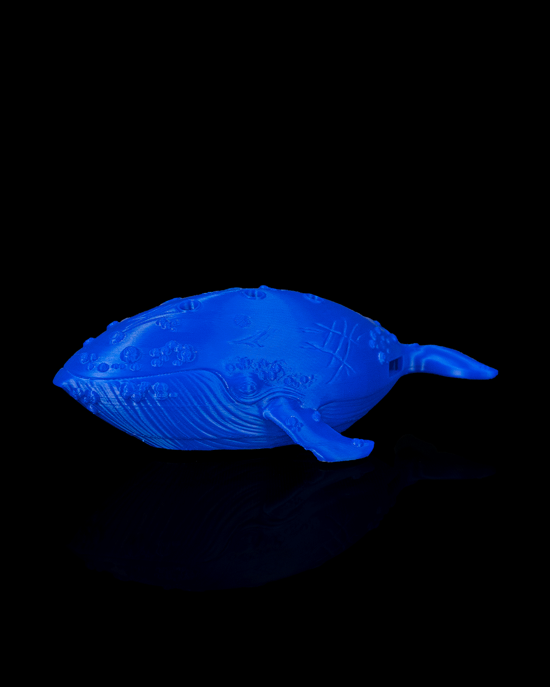 4296 - Whale Ocarina